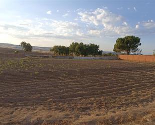 Terreny en venda en Pantoja