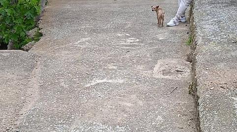 Planta baja for sale in Calle Guitón, 22, Enguídanos, Cuenca - image 2 Photo 2 of Planta baja for sale in Calle Guitón, 22, Enguídanos, Cuenca