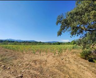 Finca rústica en venda en El Pla de Santa Maria