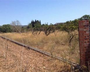 Land for sale in Ulldecona