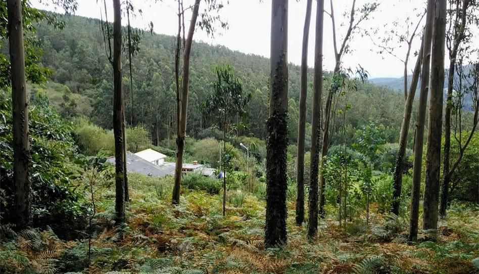 Country house for sale in Balvís, Cedeira, A Coruña - image 1 Photo 1 of Country house for sale in Balvís, Cedeira, A Coruña