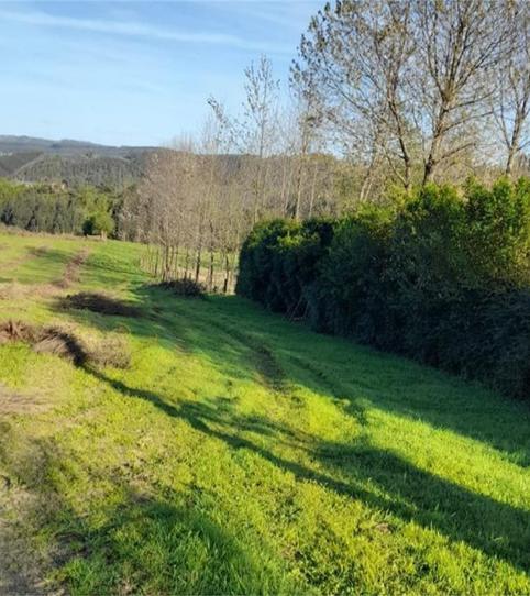 Foto 2 de Urbanitzable en venda a Seble, Mesía, A Coruña