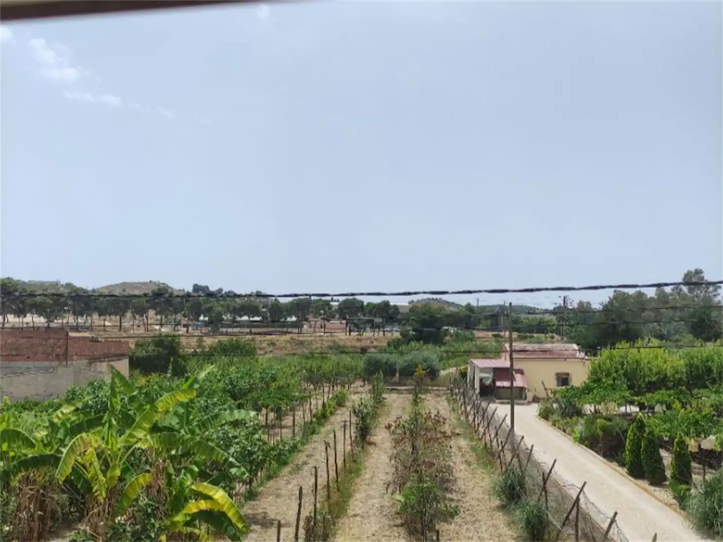 Finca rústica en venta en Camino Casa Río, Pedanías Oeste Finca rústica en venta en Aspe con Jardín privado, Terraza y Trastero