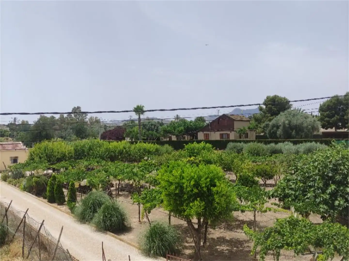 Finca rústica en venta en Camino Casa Río, Pedanías Oeste Jardín de Finca rústica en venta en Aspe con Jardín privado, Terraza y Trastero