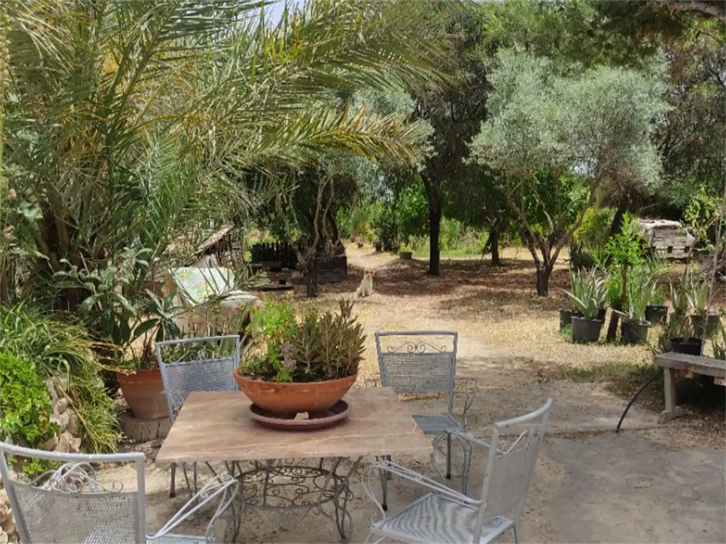 Finca rústica en venta en Camino Casa Río, Pedanías Oeste Jardín de Finca rústica en venta en Aspe con Jardín privado, Terraza y Trastero