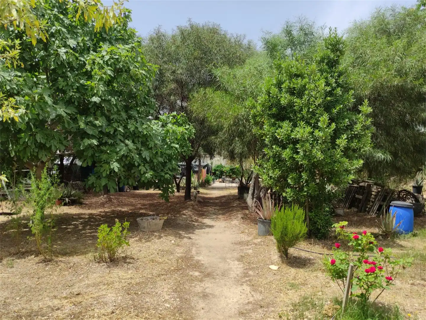 Finca rústica en venta en Camino Casa Río, Pedanías Oeste Finca rústica en venta en Aspe con Jardín privado, Terraza y Trastero