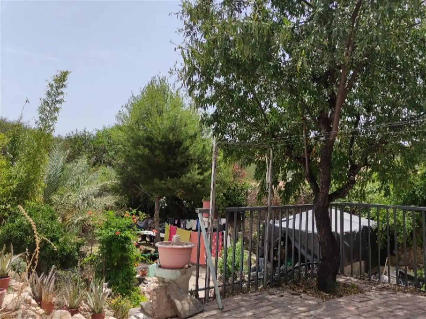 Finca rústica en venta en Camino Casa Río, Pedanías Oeste Jardín de Finca rústica en venta en Aspe con Jardín privado, Terraza y Trastero