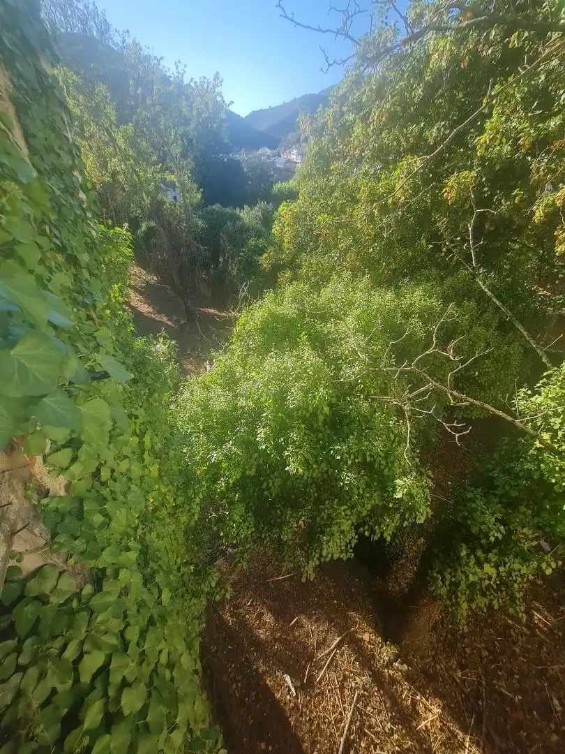 Einfamilien-Reihenhaus zum Verkauf in Plaza Mayor, 22, Villafranca del Bierzo Einfamilien-Reihenhaus zum Verkauf in Villafranca del Bierzo mit Privatgarten