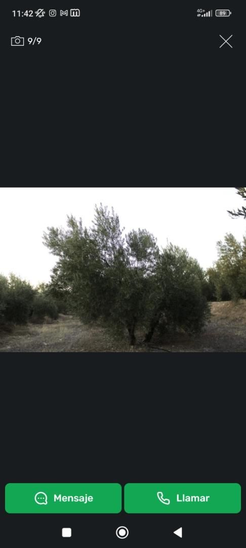 Land for sale in  Granada Capital