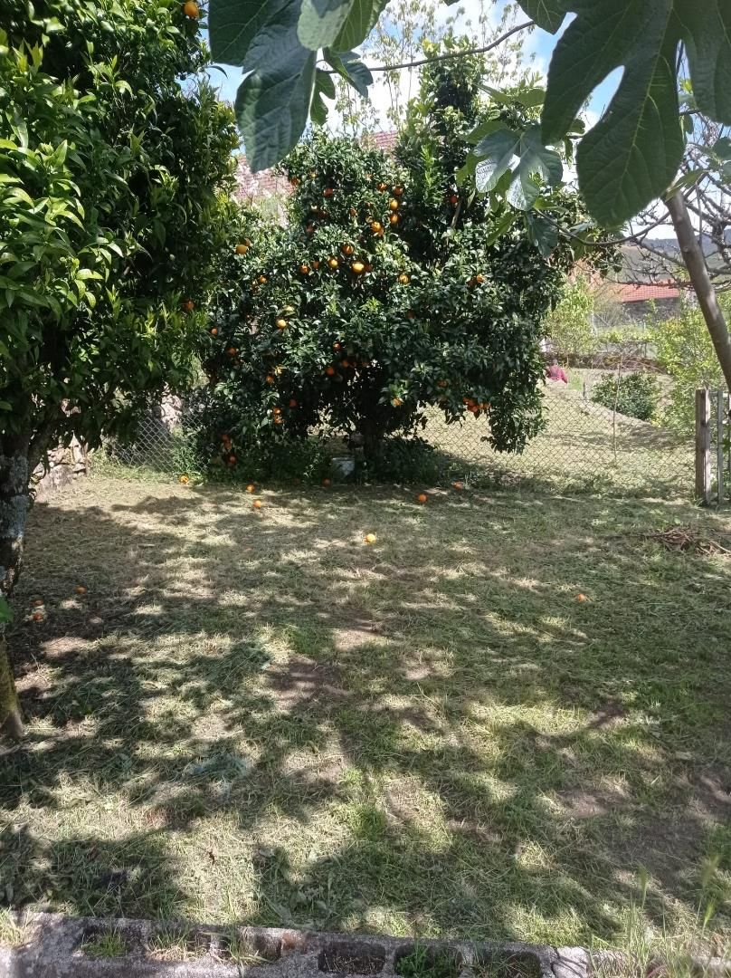 Finca rústica en venda en A Cañiza   amb Calefacció, Jardí privat i Terrassa