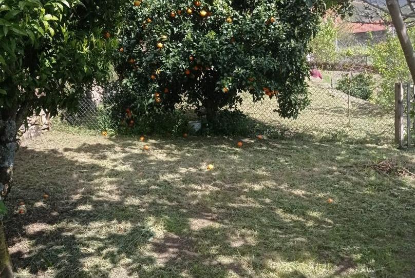 Foto 1 de Finca rústica en venda a Polígono a Chán de Barceliñas, A Cañiza  , Pontevedra