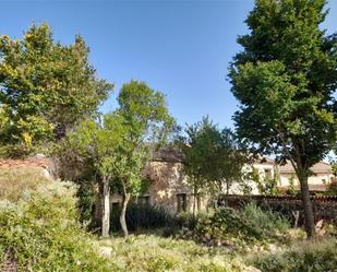 Garden of Single-family semi-detached for sale in Campo de San Pedro