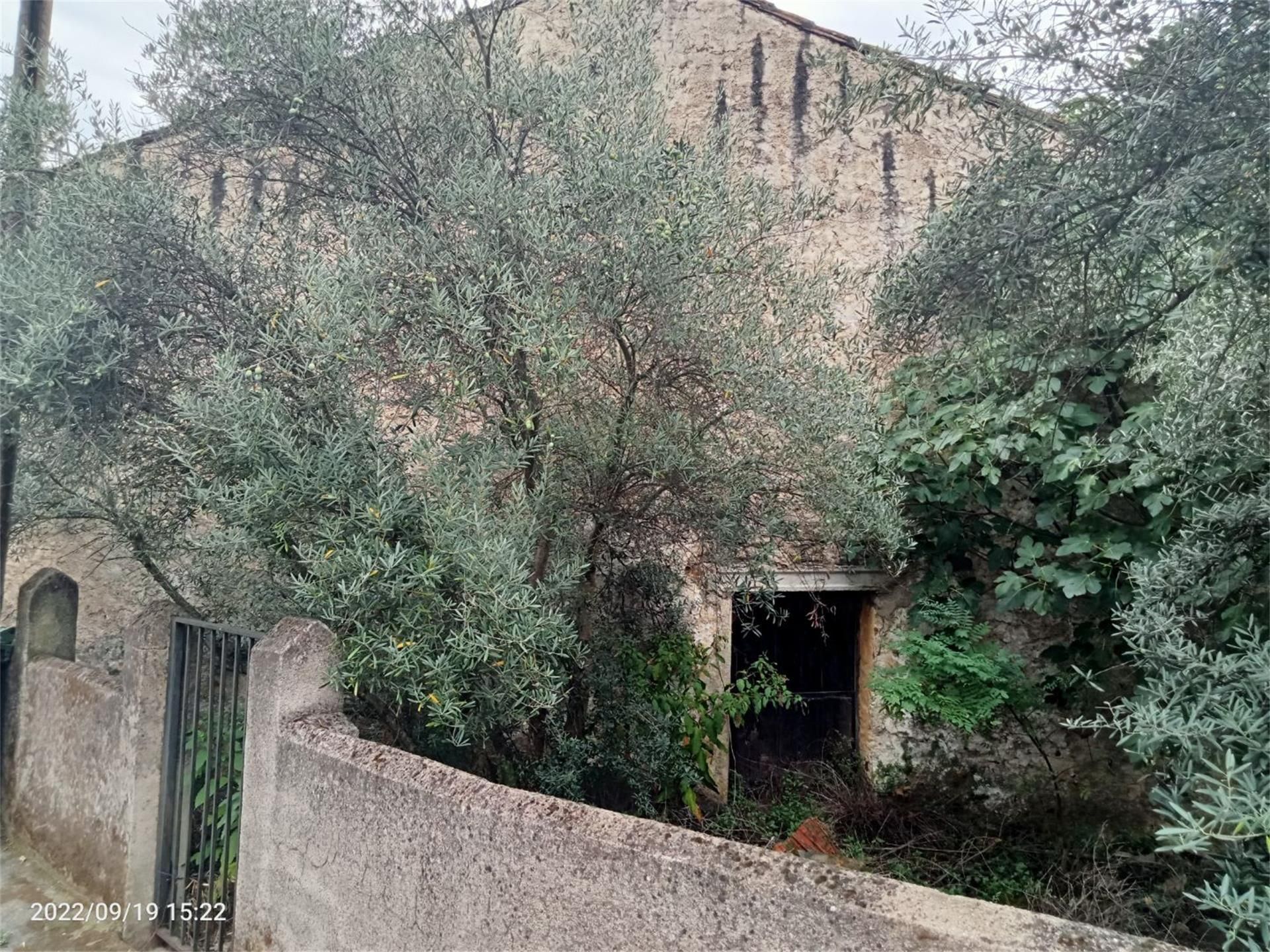Exterior view of Single-family semi-detached for sale in Nuñomoral  with Private garden, Terrace and Balcony