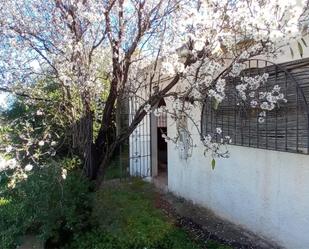 Garden of Country house for sale in Mojácar