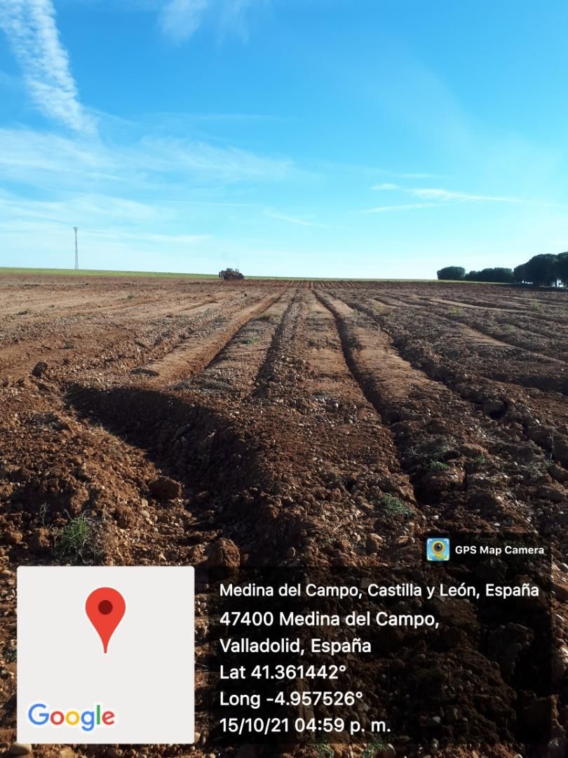 Land for sale in La Seca 