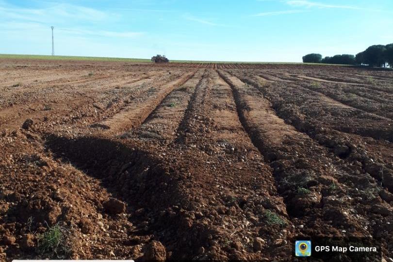 Photo 1 of Land for sale in Calle Granja, 2, La Seca , Valladolid