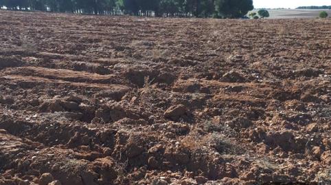 Photo 3 of Land for sale in Calle Granja, 2, La Seca , Valladolid