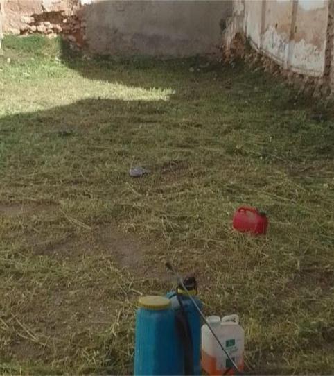 Foto 2 de Terreno en venta en Calle Julián Besteiro, 64, Casariche, Sevilla