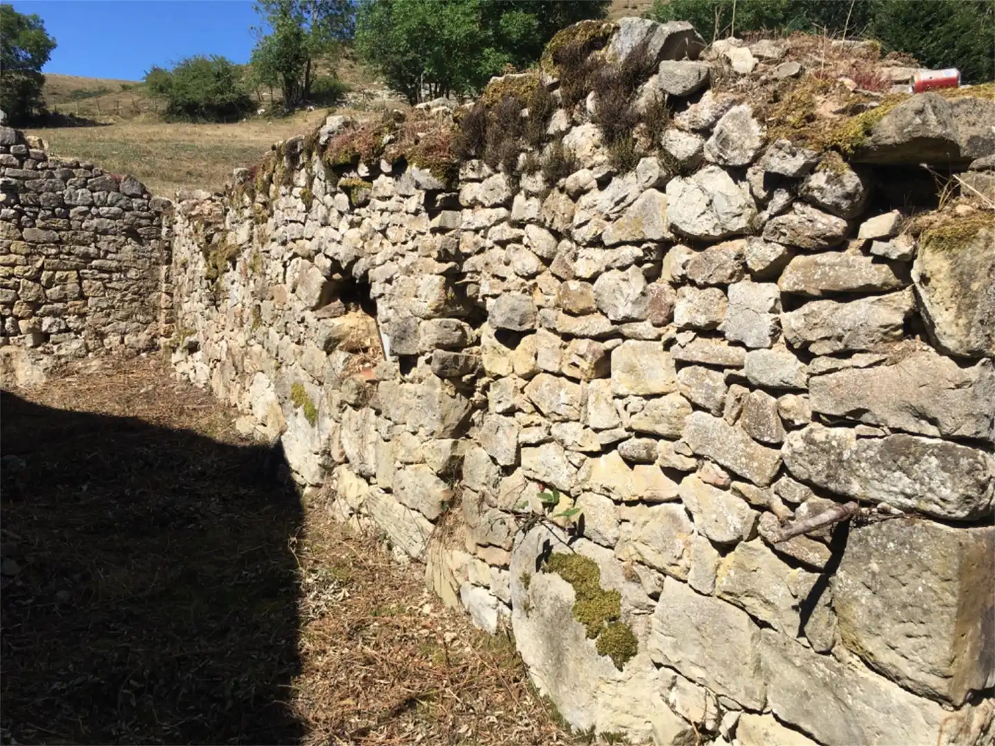 Jardí de Casa adosada en venda en Campoo de Yuso amb Jardí privat