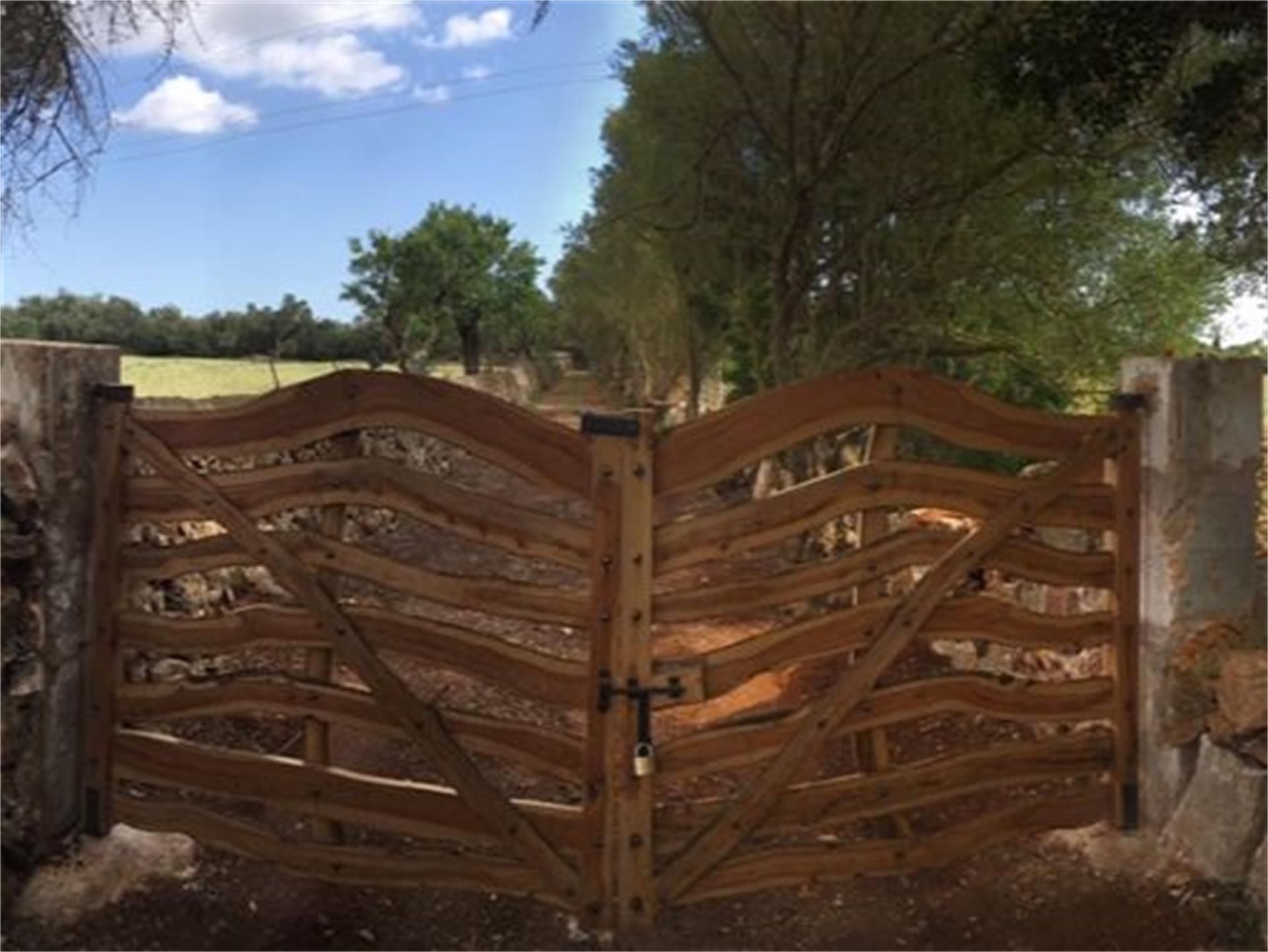 Jardí de Finca rústica en venda en Felanitx