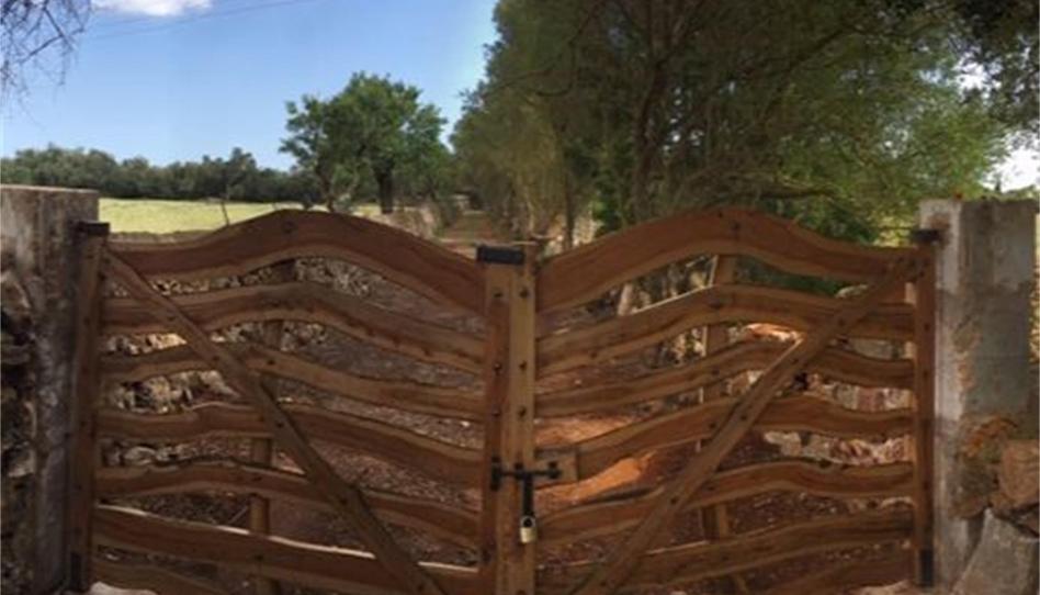 Finca rústica en venda a Camí de Sa Tortuga, Felanitx Poble, Illes Balears - imatge 1 Foto 1 de Finca rústica en venda a Camí de Sa Tortuga, Felanitx Poble, Illes Balears