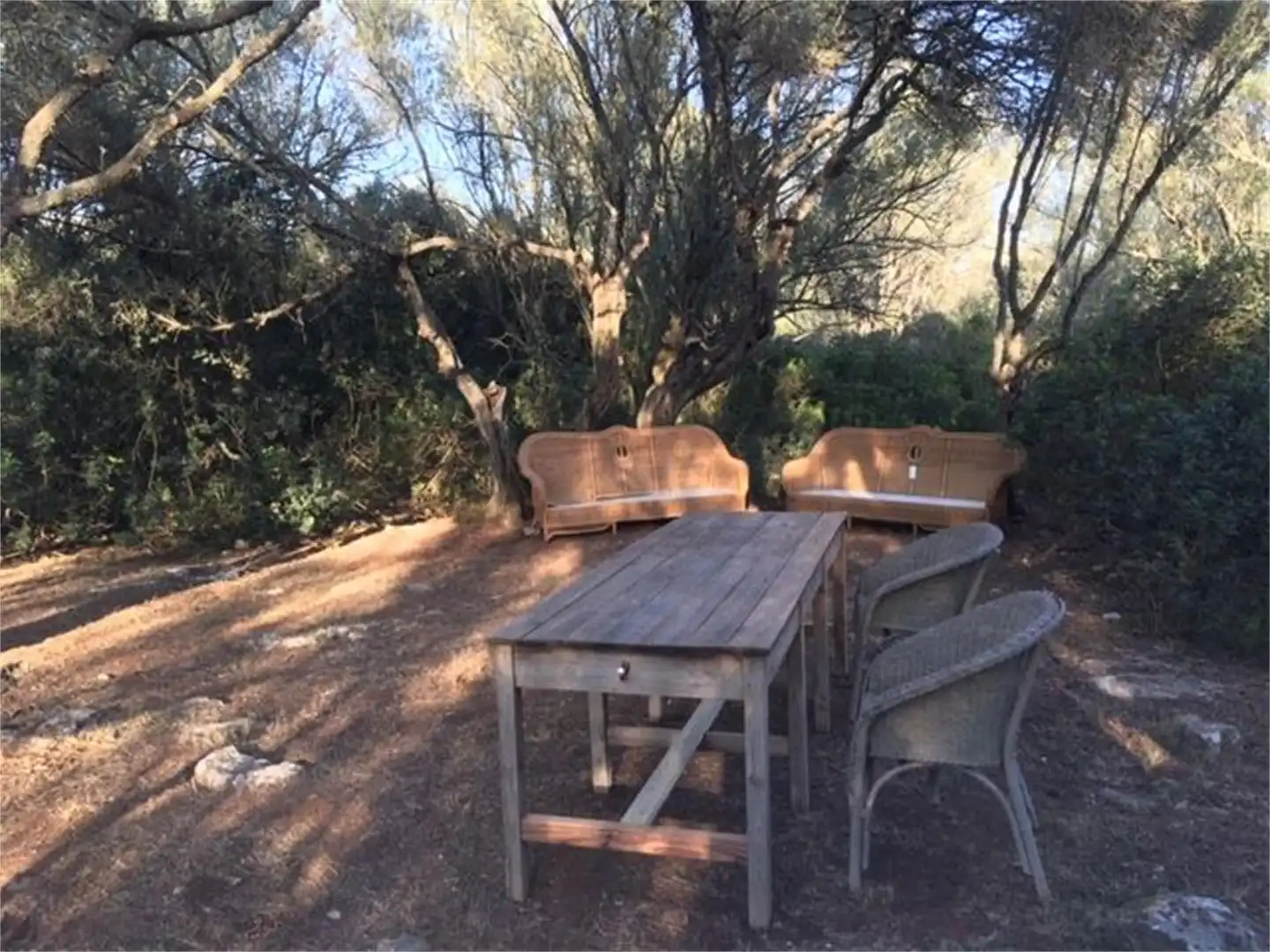 Finca rústica en venda a Camí de Sa Tortuga, Felanitx Poble Jardí de Finca rústica en venda en Felanitx