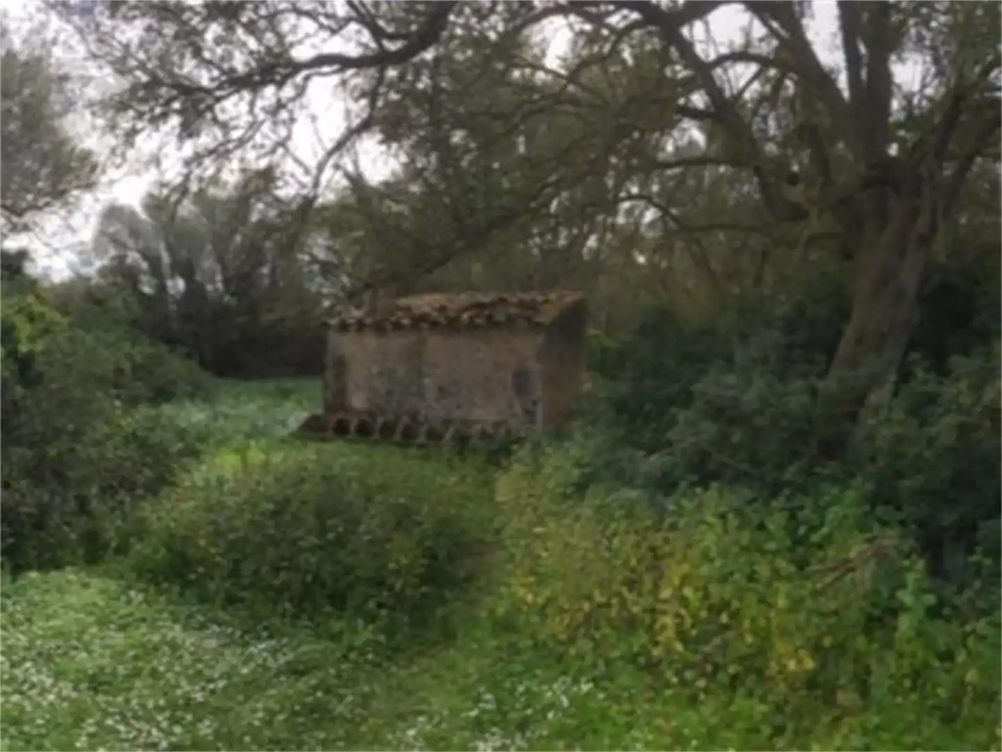 Finca rústica en venda a Camí de Sa Tortuga, Felanitx Poble Finca rústica en venda en Felanitx