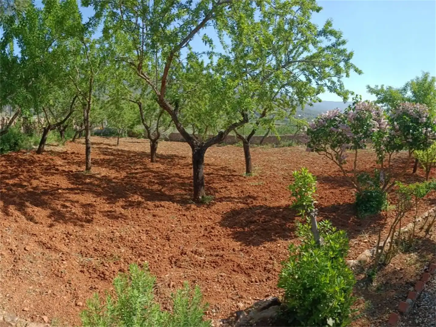 Jardín de Casa o chalet en venta en Marjaliza con Calefacción, Jardín privado y Terraza