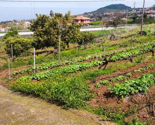 Jardí de Finca rústica en venda en Tacoronte amb Terrassa