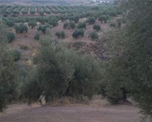 Finca rústica en venda en Bélmez de la Moraleda amb Balcó