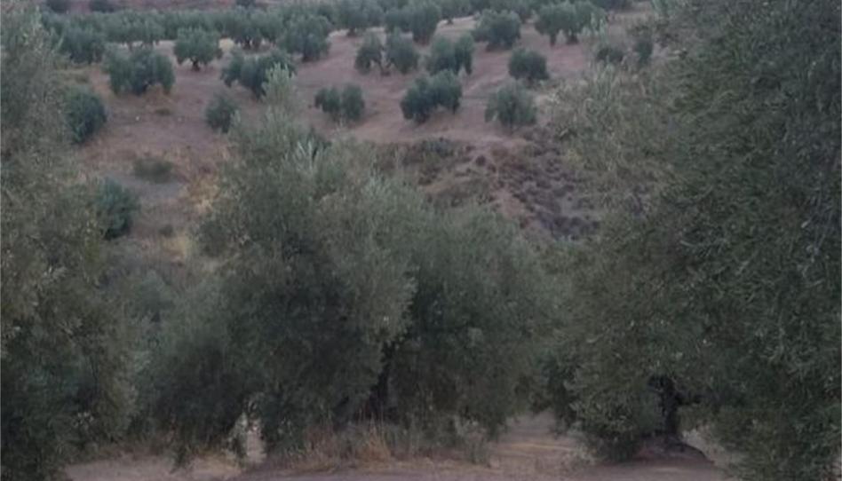 Foto 1 de Finca rústica en venda a Aulabar, Bélmez de la Moraleda, Jaén