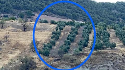 Foto 5 de Finca rústica en venda a Aulabar, Bélmez de la Moraleda, Jaén