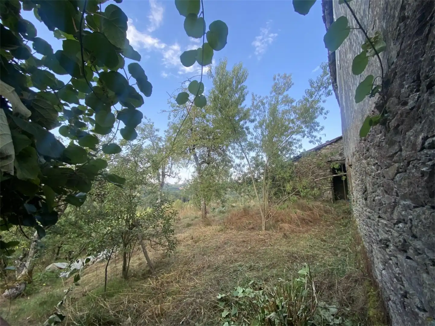 Finca rústica en venta en Taín, Lalín Finca rústica en venta en Lalín con Jardín privado y Parking comunitario