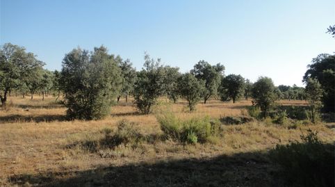 Foto 3 de Terreno en venta en N-232a, Monroyo, Teruel