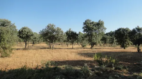 Foto 4 de Terreno en venta en N-232a, Monroyo, Teruel