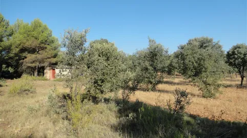 Foto 5 de Terreno en venta en N-232a, Monroyo, Teruel