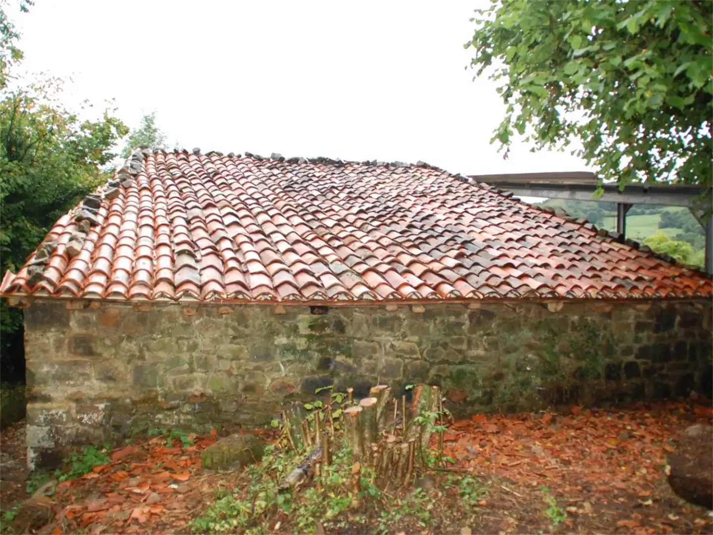 Finca rústica en venda a Iguanzo, Cabrales Vista exterior de Finca rústica en venda en Cabrales
