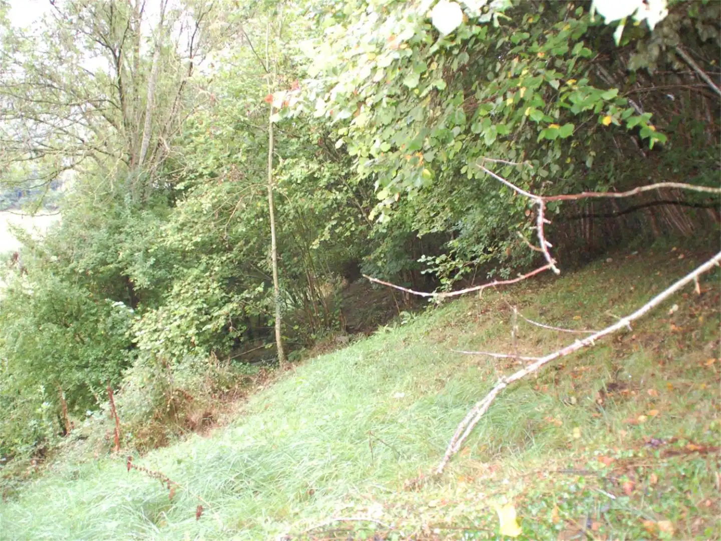 Finca rústica en venda a Iguanzo, Cabrales Finca rústica en venda en Cabrales