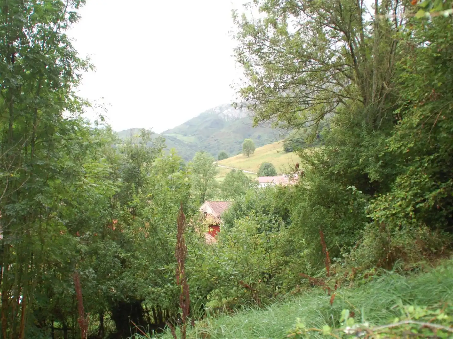 Finca rústica en venda a Iguanzo, Cabrales Finca rústica en venda en Cabrales