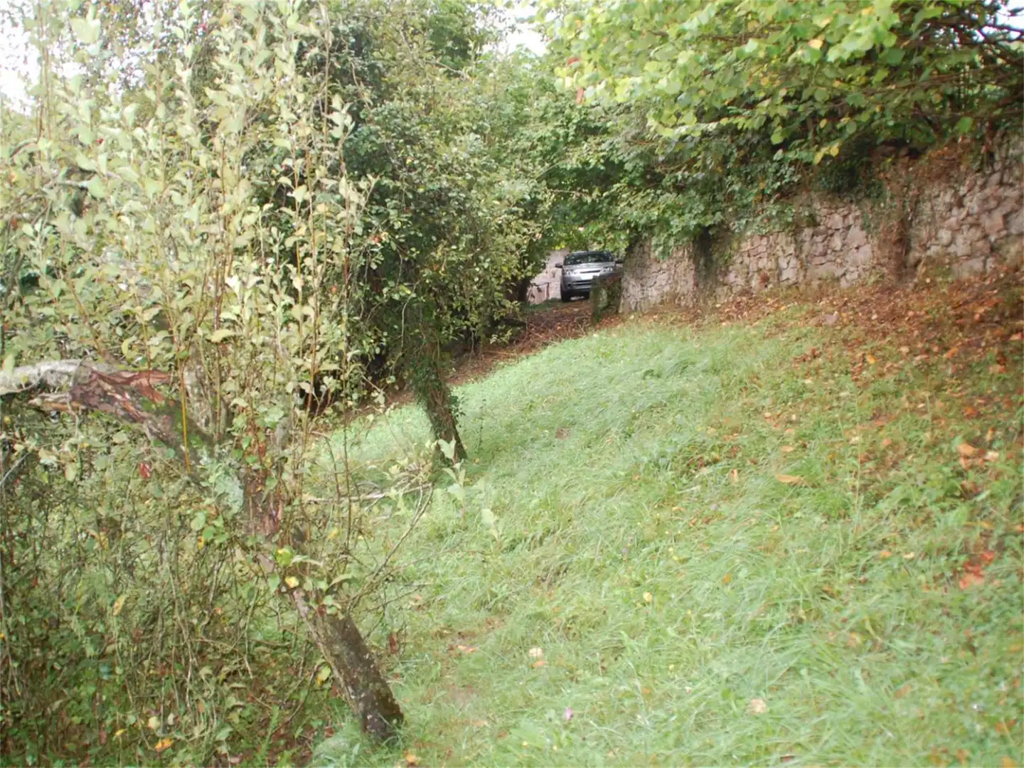 Finca rústica en venda a Iguanzo, Cabrales Finca rústica en venda en Cabrales