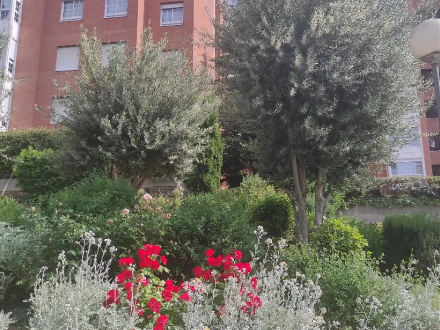 Garage for rent in Calle Almansa, 102, Ciudad Universitaria Garden of Garage for rent in Madrid