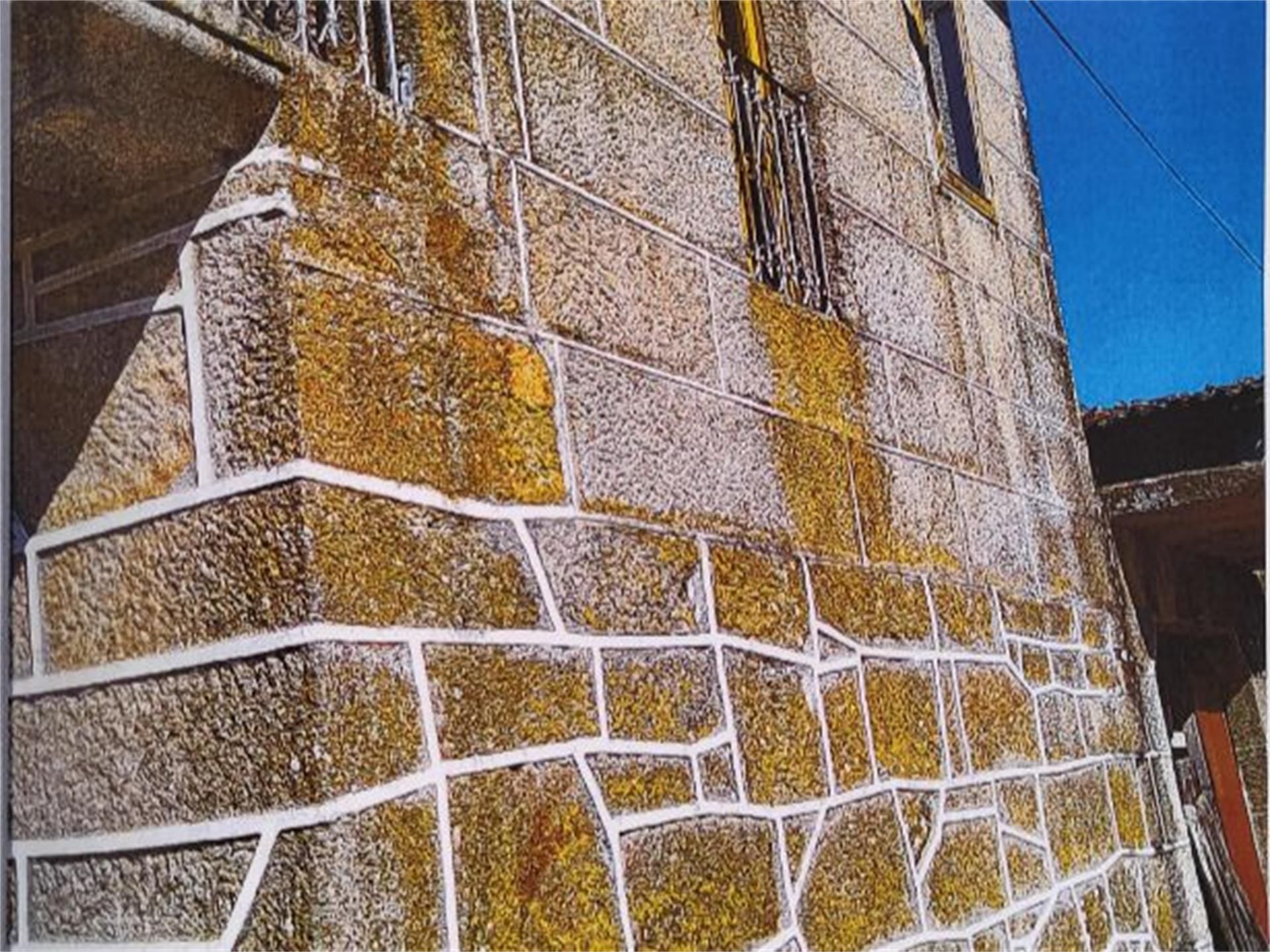 Country homes for sale in Lugar Pegas Do Cotorro, Allariz Exterior view of Country homes for sale in Allariz