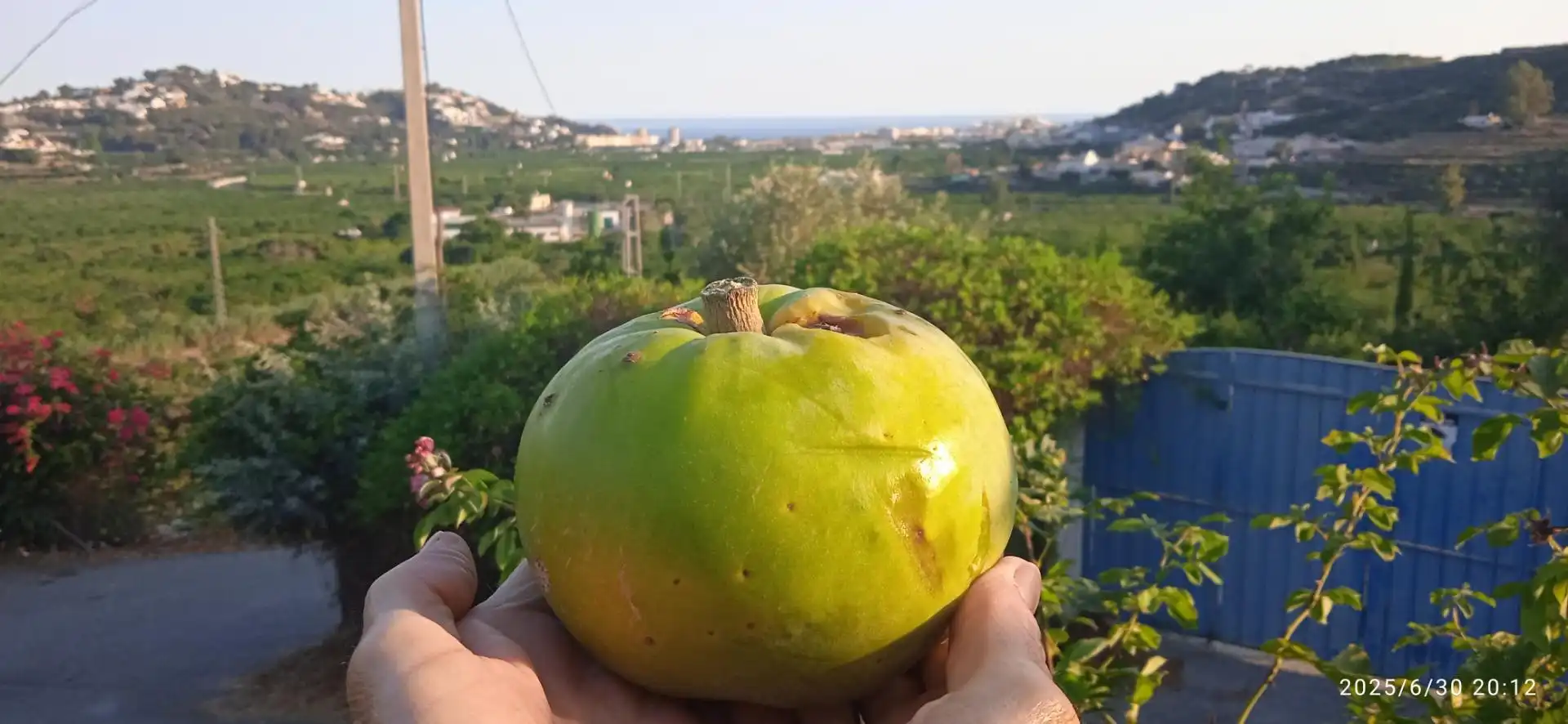 Finca rústica en venta en Camino del Zamorano, Almuñécar Jardín de Finca rústica en venta en Almuñécar con Terraza y Balcón