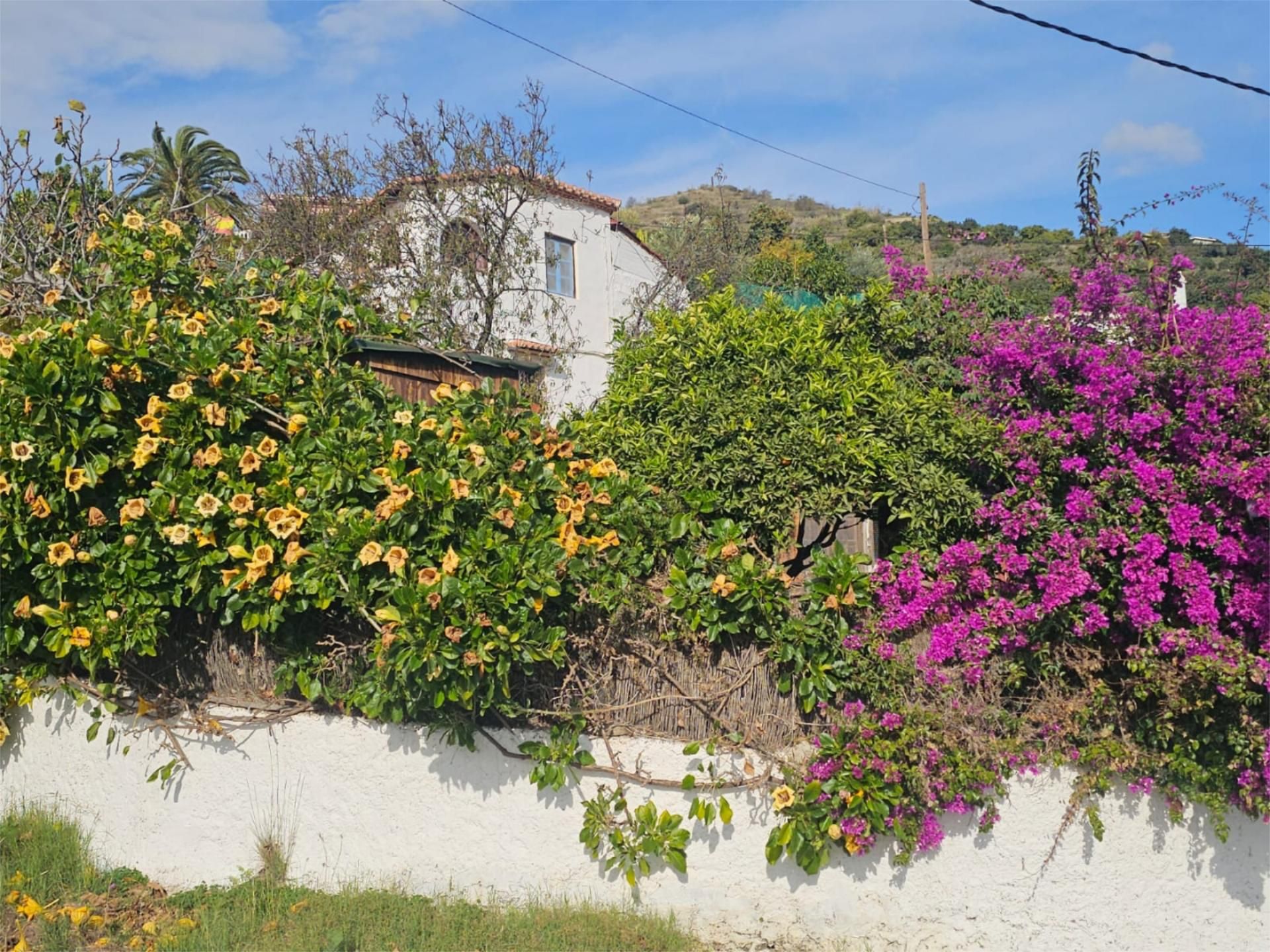 Country house for sale in Camino del Zamorano, Torrecuevas - Lomas del Gato