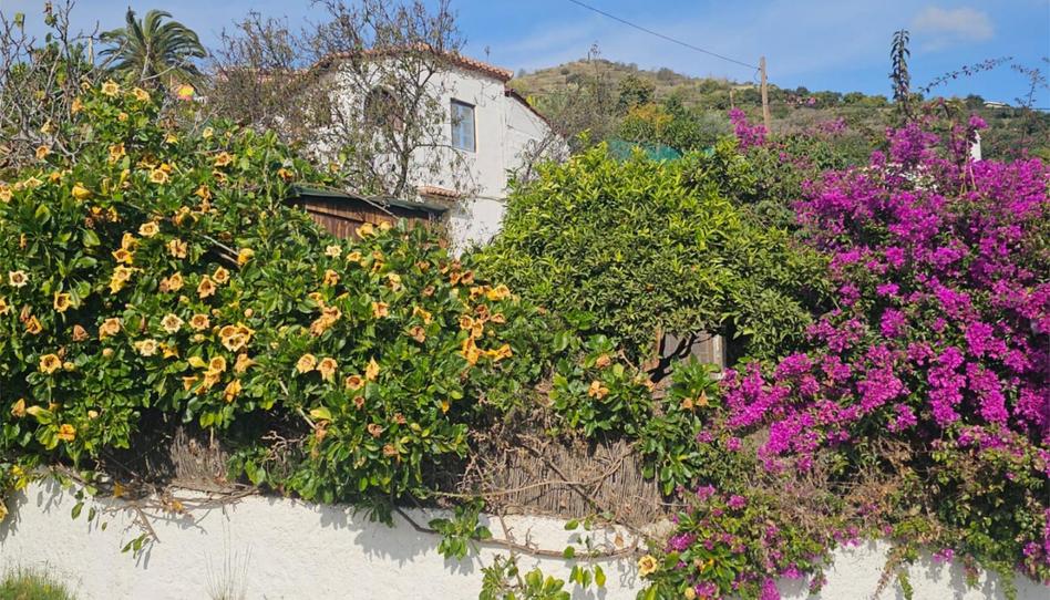 Finca rústica en venda a Camino del Zamorano, Torrecuevas - Lomas del Gato, Almuñécar - imatge 1 Foto 1 de Finca rústica en venda a Camino del Zamorano, Torrecuevas - Lomas del Gato, Almuñécar