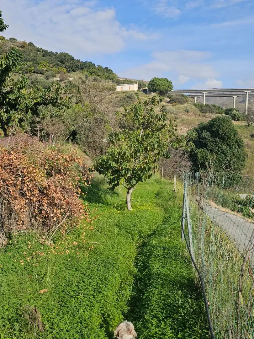 Finca rústica en venta en Camino del Zamorano, Almuñécar Finca rústica en venta en Almuñécar con Terraza y Balcón