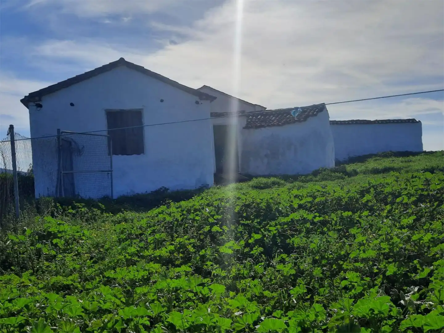 Finca rústica en venda a Camino del Caracol, Santisteban del Puerto Finca rústica en venda en Santisteban del Puerto