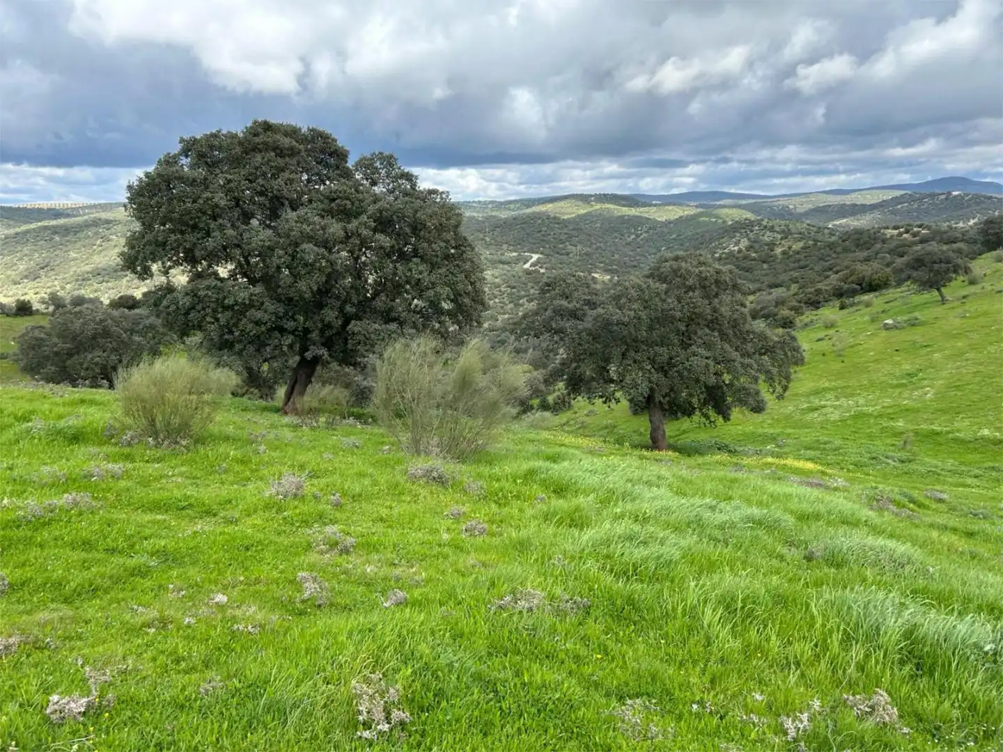 Finca rústica en venda a Camino del Caracol, Santisteban del Puerto Finca rústica en venda en Santisteban del Puerto