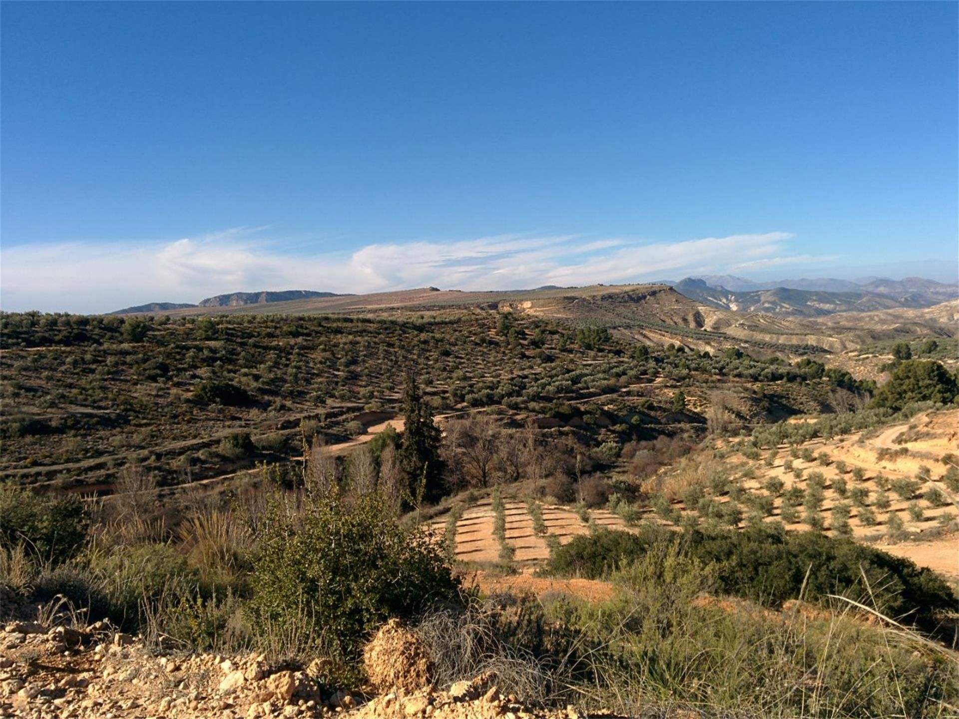 Country house for sale in Pozo Alcón