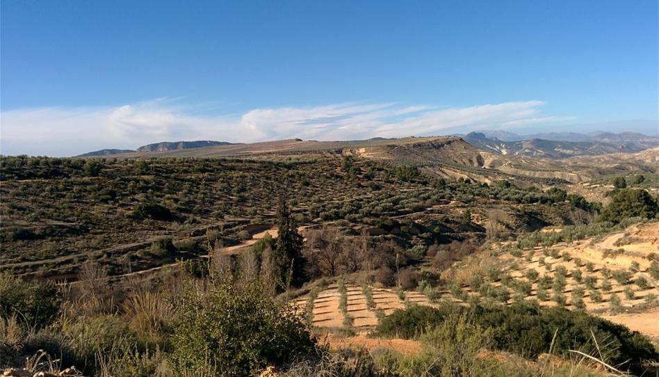 Finca rústica en venda a Pozo Alcón, Jaén - imatge 1 Foto 1 de Finca rústica en venda a Pozo Alcón, Jaén